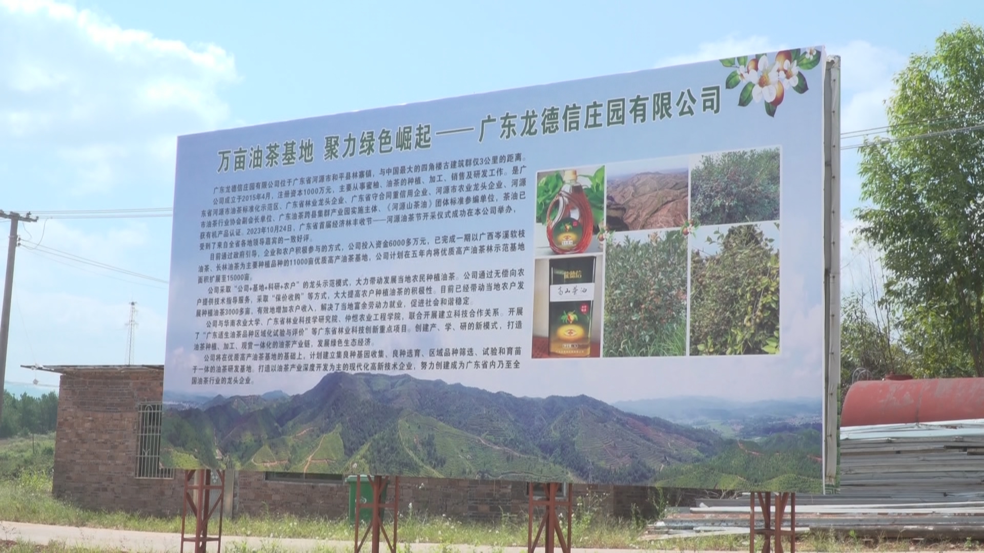 文章配圖
