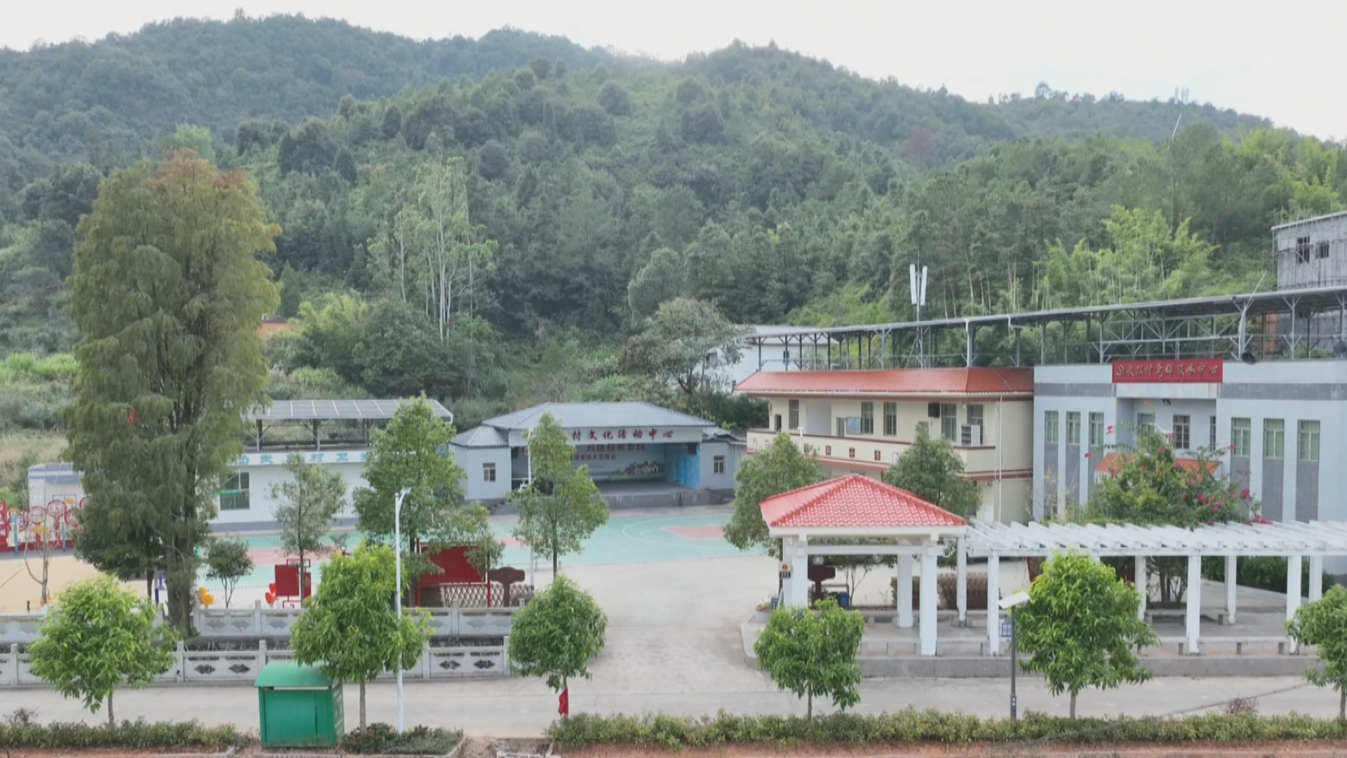 文章配圖