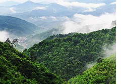 民俗民風